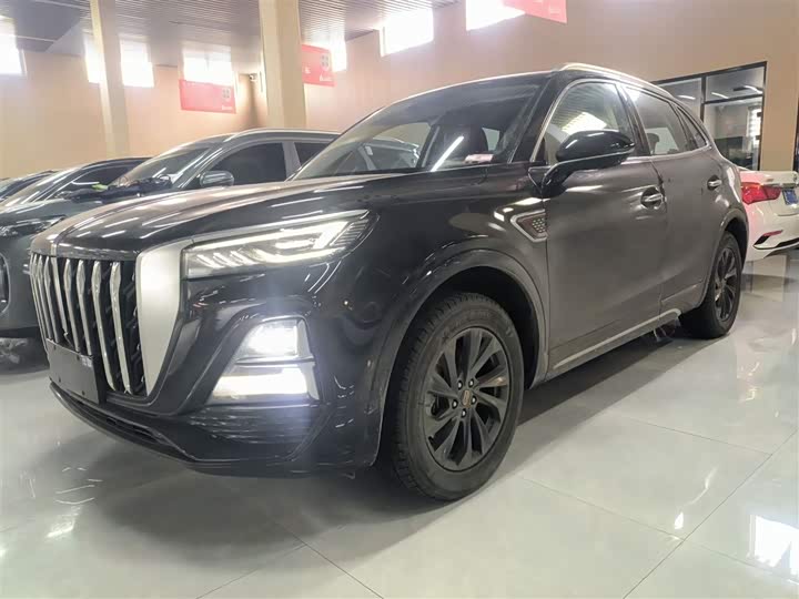 Фото 2 - Hongqi HS5
