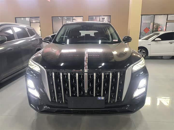 Фото 3 - Hongqi HS5