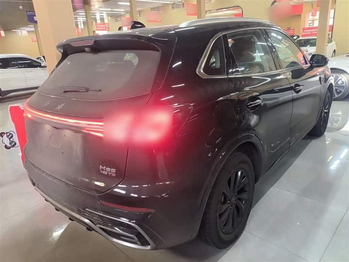 Фото 7 - Hongqi HS5