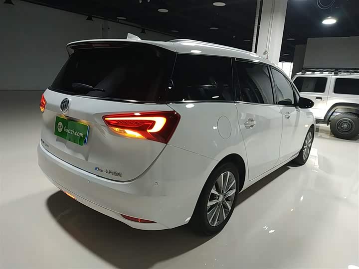 Фото 7 - Buick GL6