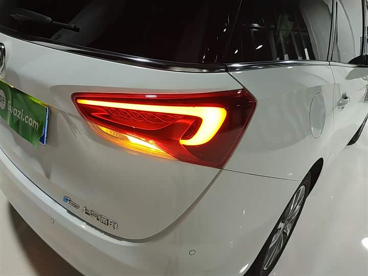 Фото 8 - Buick GL6