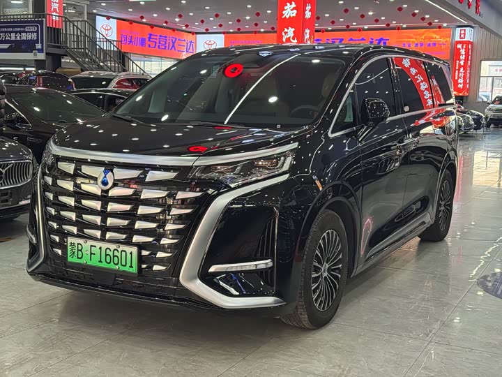 Фото 1 - Denza D9