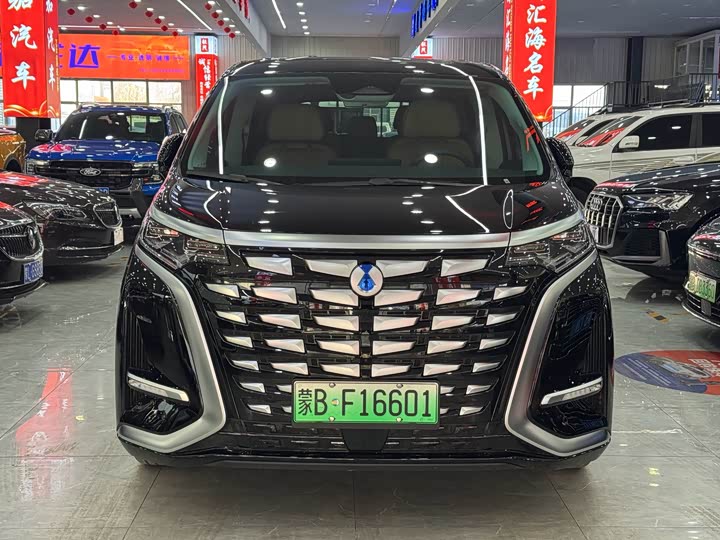 Фото 2 - Denza D9