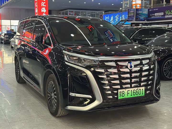 Фото 3 - Denza D9