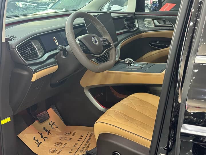 Фото 4 - Denza D9