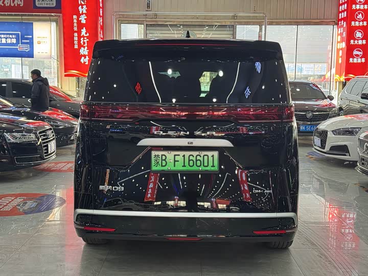 Фото 7 - Denza D9