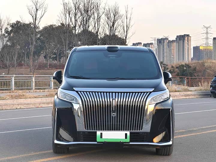 Фото 2 - Wey Gaoshan