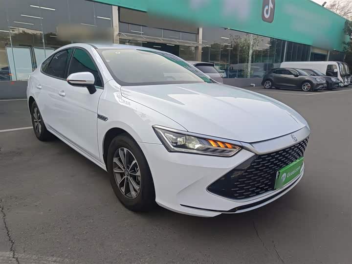 Фото 4 - BYD Qin Plus