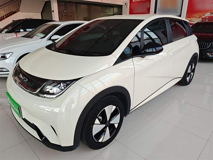 Фото 2 - BYD Dolphin