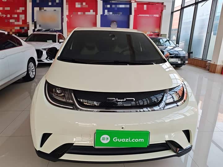 Фото 3 - BYD Dolphin