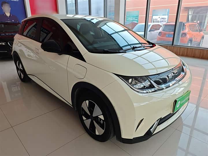 Фото 4 - BYD Dolphin