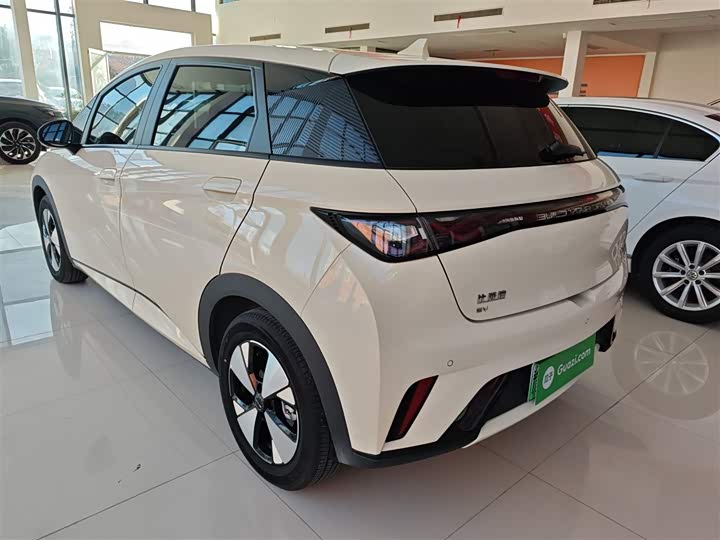 Фото 5 - BYD Dolphin