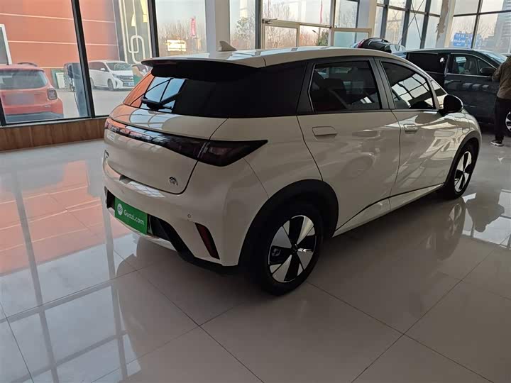 Фото 7 - BYD Dolphin