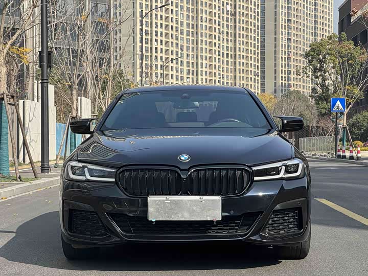 Фото 2 - BMW 5 Series Hybrid