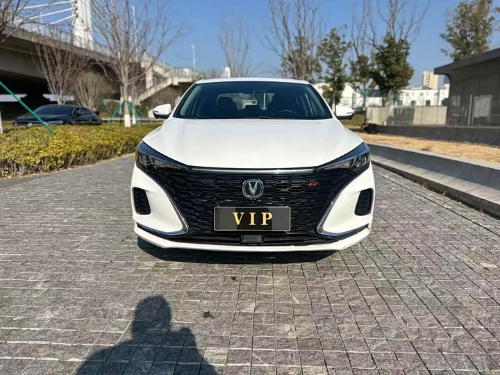 Фото 2 - Changan Eado Plus