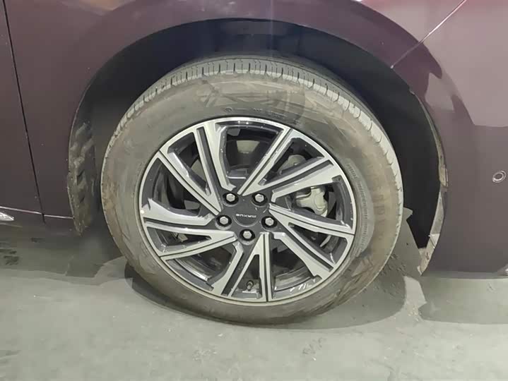 Фото 6 - Maxus G90