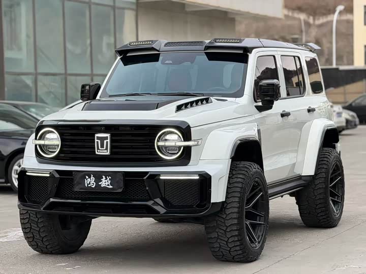 Фото 1 - Tank 300