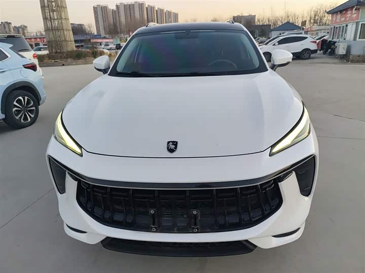 Фото 3 - Dongfeng Forthing T5 EVO