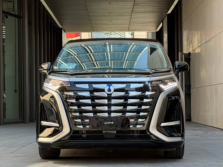 Фото 2 - Denza D9