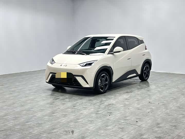 Фото 1 - BYD Seagull