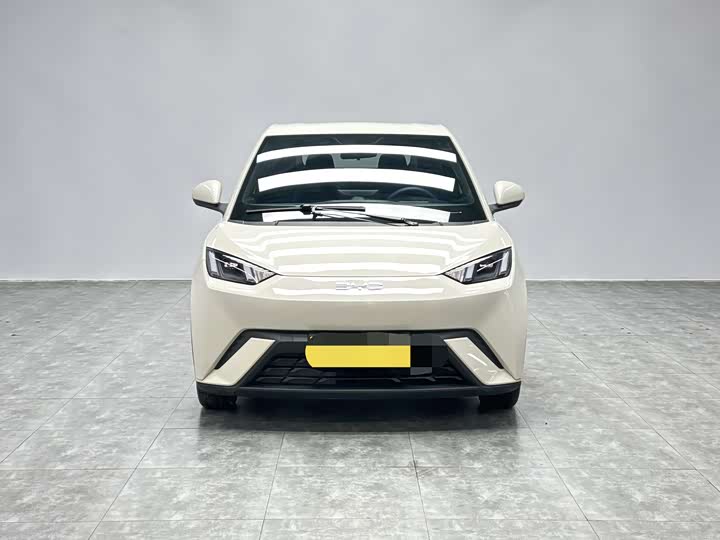 Фото 2 - BYD Seagull