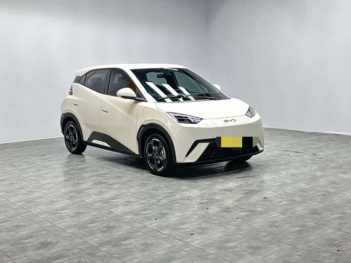 Фото 3 - BYD Seagull