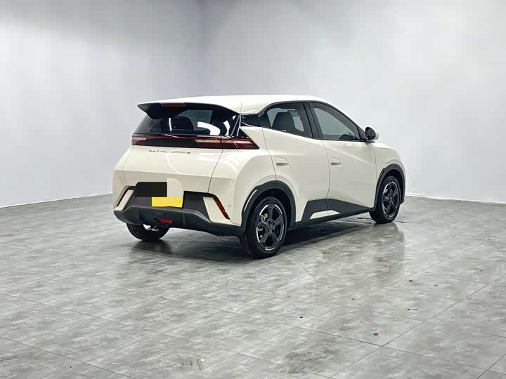 Фото 4 - BYD Seagull