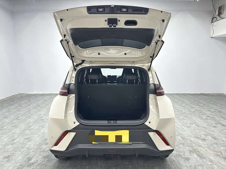 Фото 5 - BYD Seagull