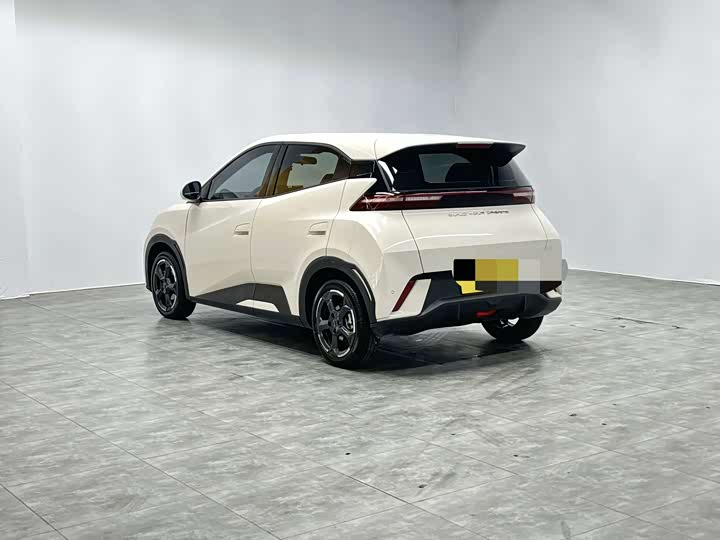 Фото 6 - BYD Seagull