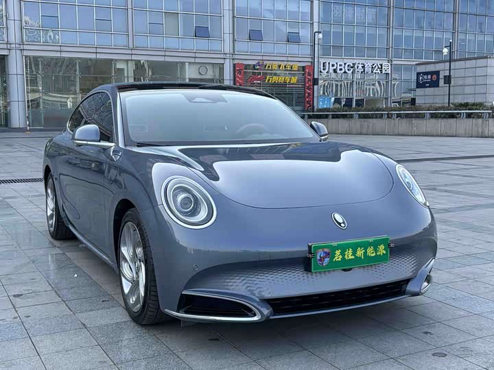 Фото 3 - Ora Lightning Cat (07)