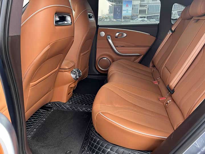 Фото 9 - Ora Lightning Cat (07)