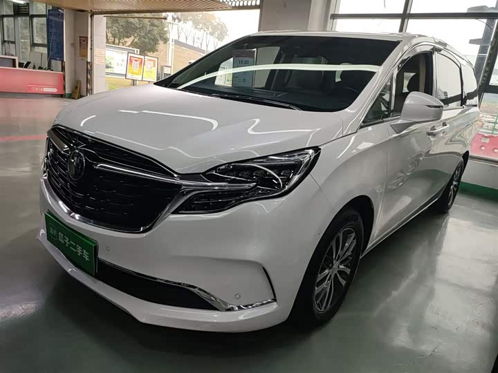 Фото 1 - Buick GL8 ES