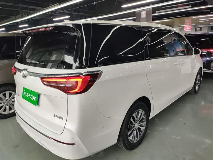 Фото 7 - Buick GL8 ES