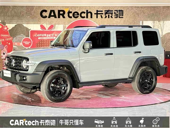 Фото 1 - Tank 300