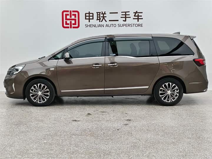 Фото 5 - Buick GL8 ES