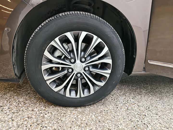 Фото 6 - Buick GL8 ES