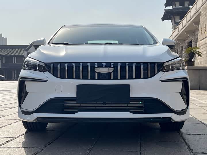 Фото 2 - Geely Binrui