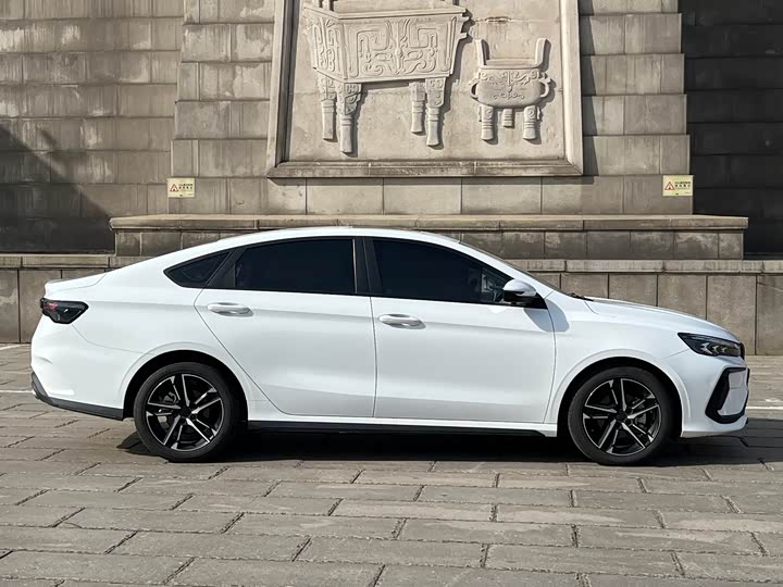 Фото 6 - Geely Binrui