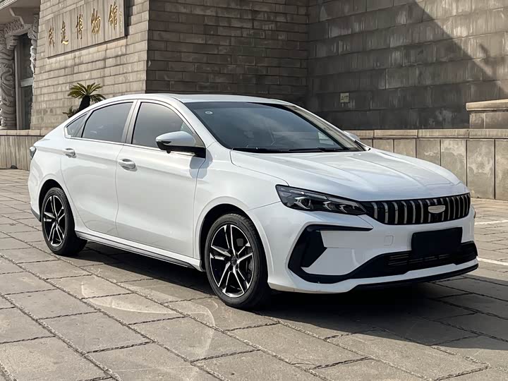 Фото 7 - Geely Binrui