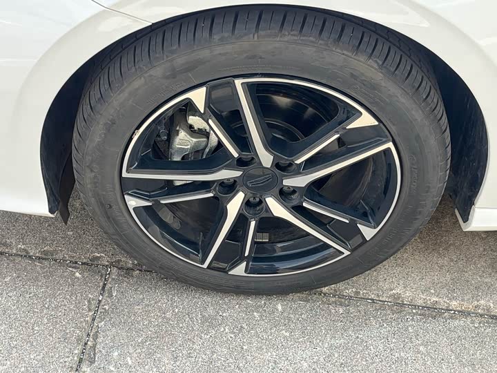 Фото 9 - Geely Binrui