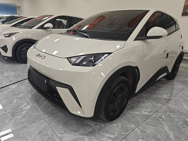 Фото 1 - BYD Seagull