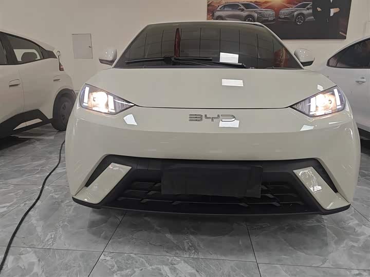 Фото 3 - BYD Seagull