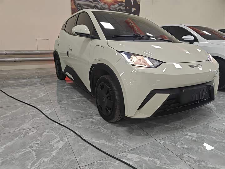 Фото 4 - BYD Seagull