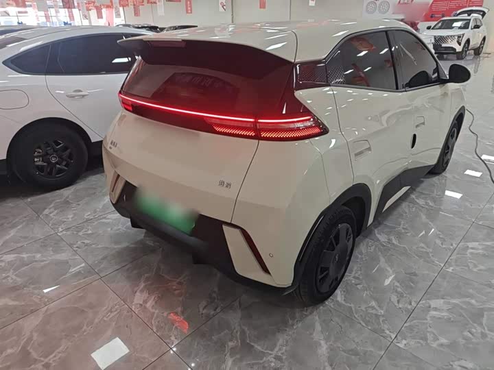 Фото 7 - BYD Seagull