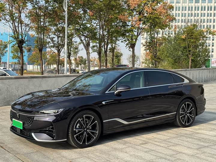 Фото 1 - Voyah Passion