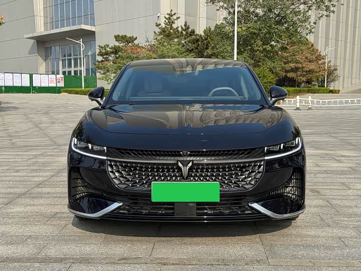 Фото 2 - Voyah Passion