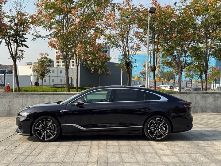 Фото 3 - Voyah Passion