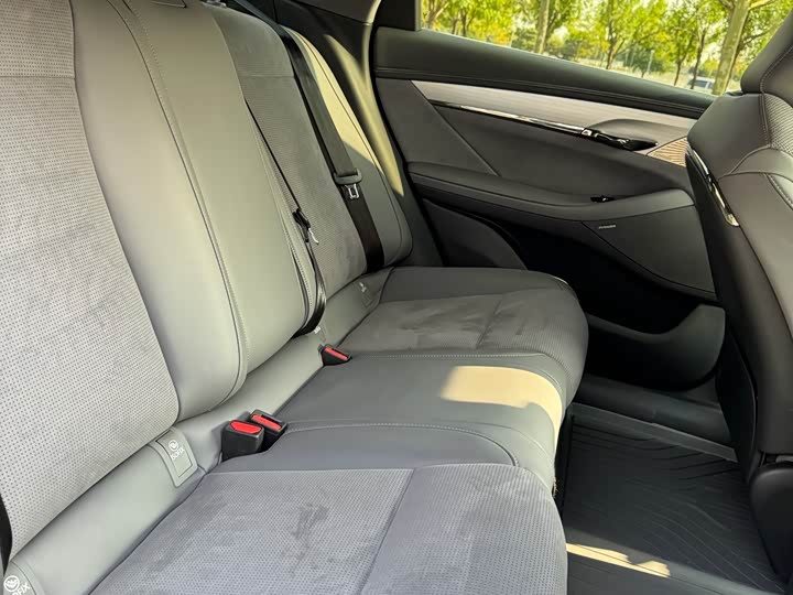 Фото 9 - Voyah Passion