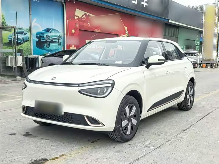 Фото 2 - Dongfeng Nammi 01