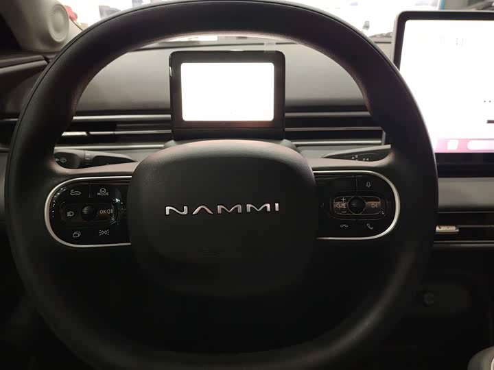 Фото 3 - Dongfeng Nammi 01